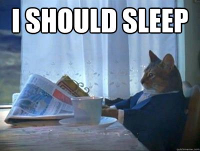I should sleep | cat meme